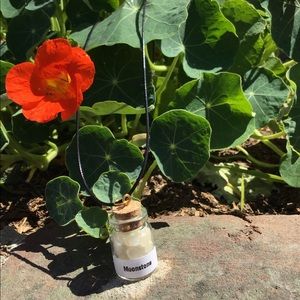 Crystals (Moonstone) In A Bottle Mini